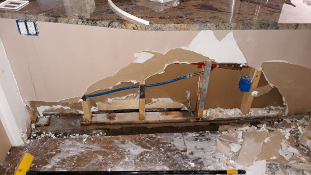 Best Mold removal after water damage  in Liberty Corner, NJ