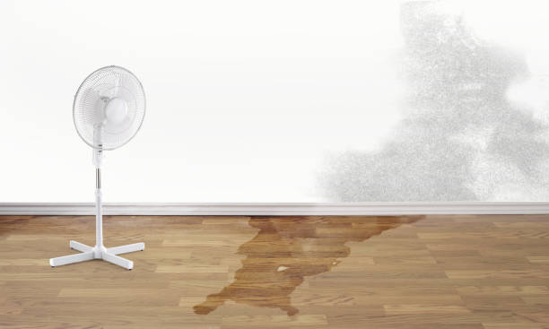 Best Flood damage cleanup  in Liberty Corner, NJ