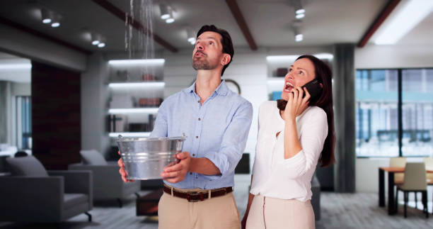 Best Flooded house restoration  in Liberty Corner, NJ